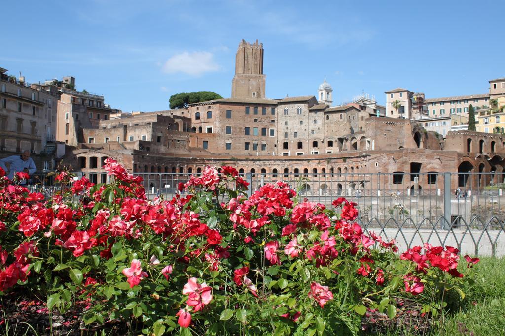 All Suite Colosseo Roma Rom bilde